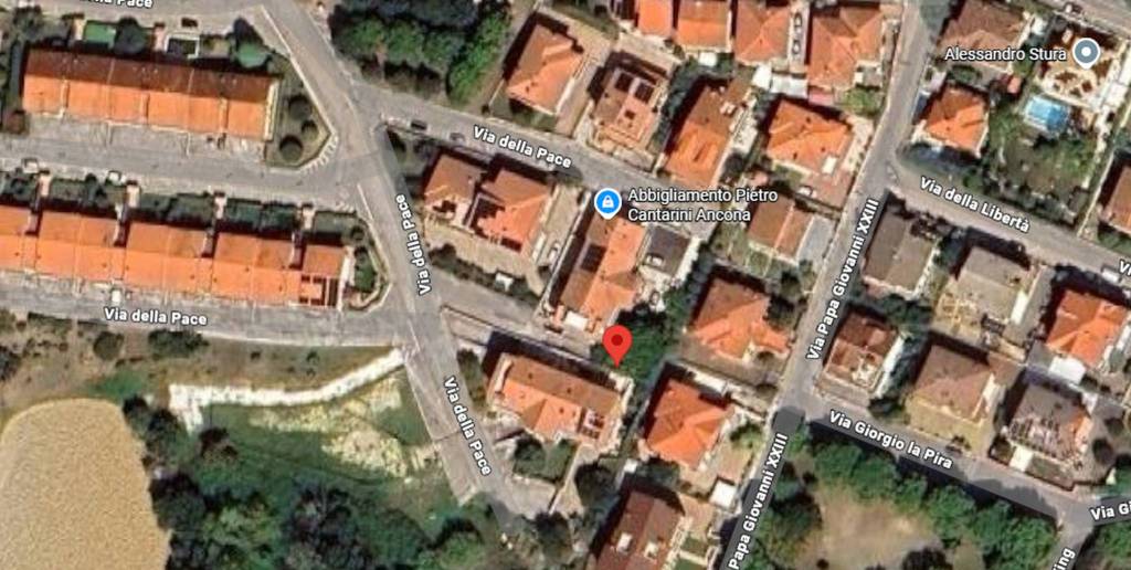 immagine annuncio 6 di 11