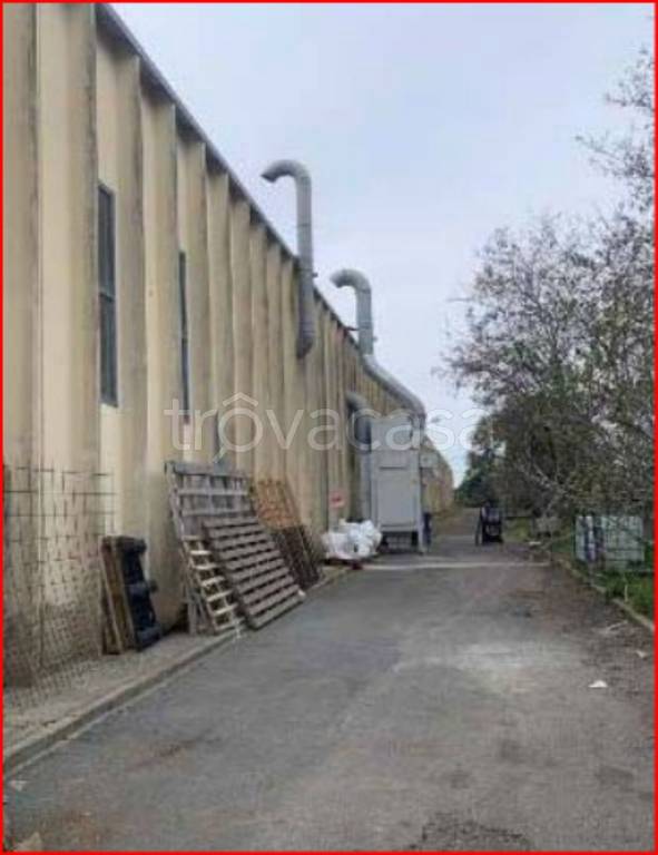 immagine annuncio 4 di 14