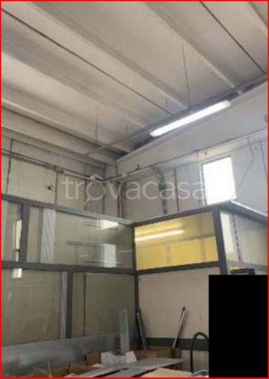 immagine annuncio 8 di 14