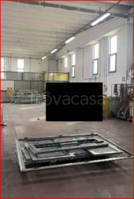 immagine annuncio 10 di 14