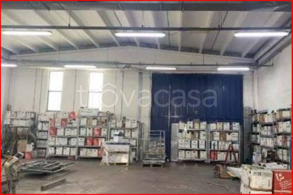 immagine annuncio 12 di 14