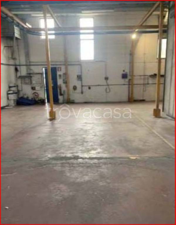 immagine annuncio 13 di 14