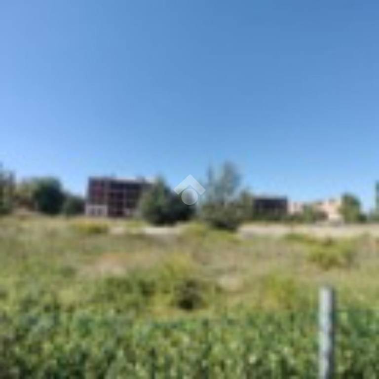 immagine annuncio 8 di 13