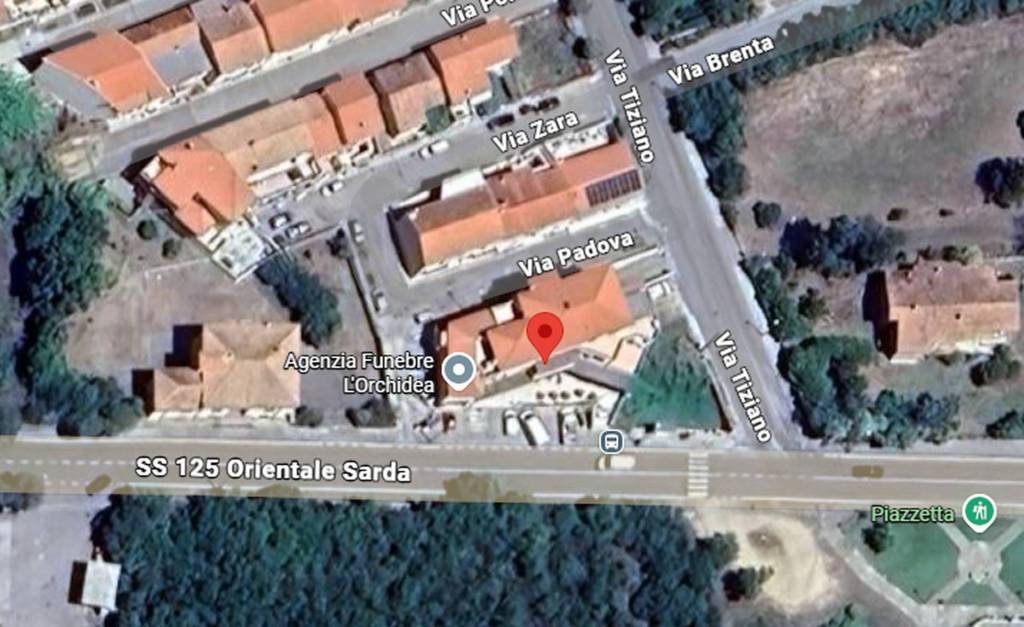 immagine annuncio 9 di 12