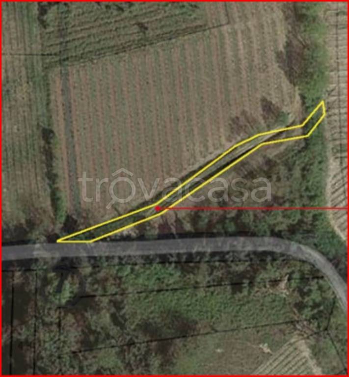 immagine annuncio 10 di 12