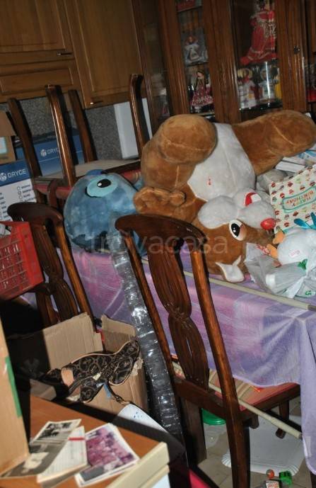 immagine annuncio 13 di 15