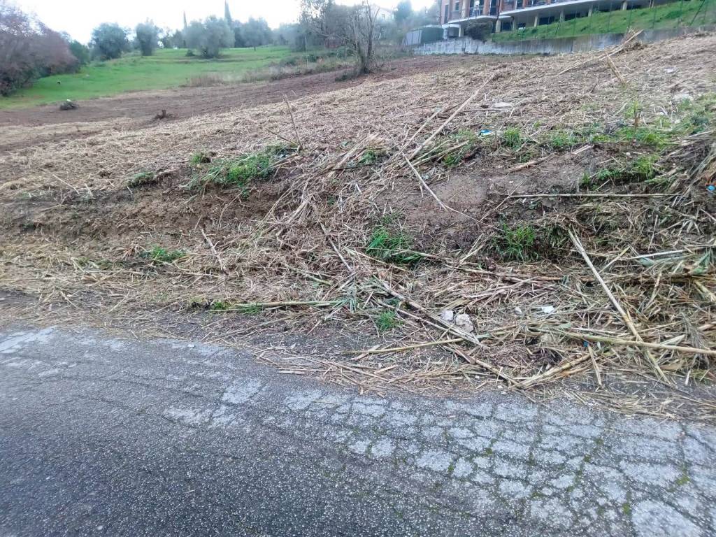 immagine annuncio 2 di 9