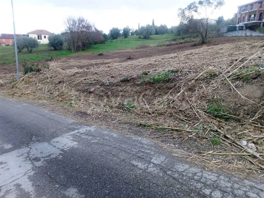 immagine annuncio 3 di 9