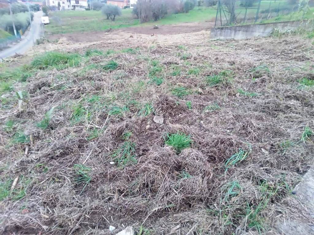 immagine annuncio 5 di 9