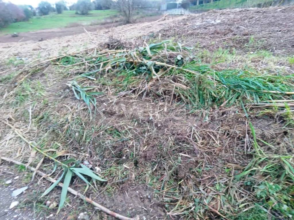 immagine annuncio 6 di 9