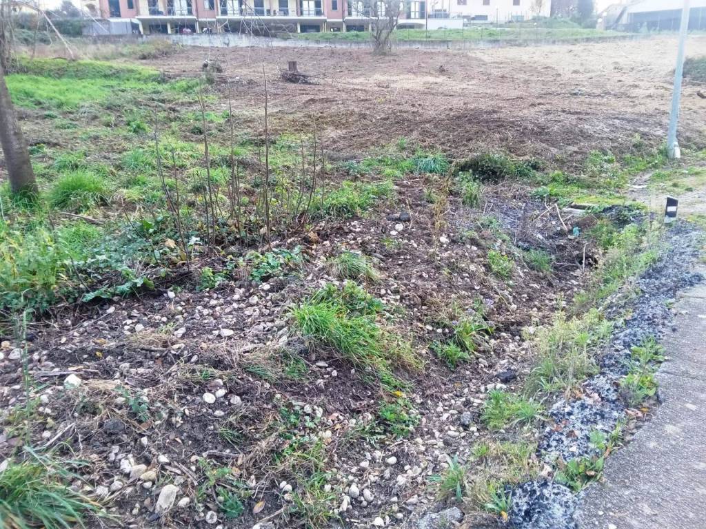 immagine annuncio 7 di 9