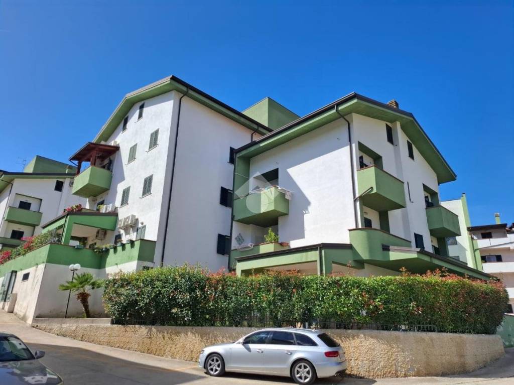 immagine annuncio 10 di 15