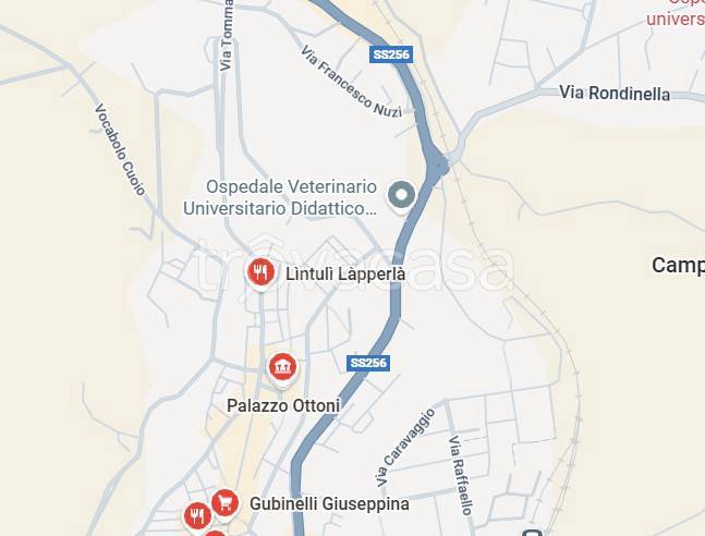 immagine annuncio 7 di 13