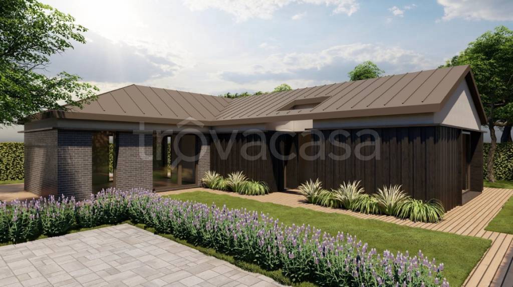 immagine annuncio 3 di 11