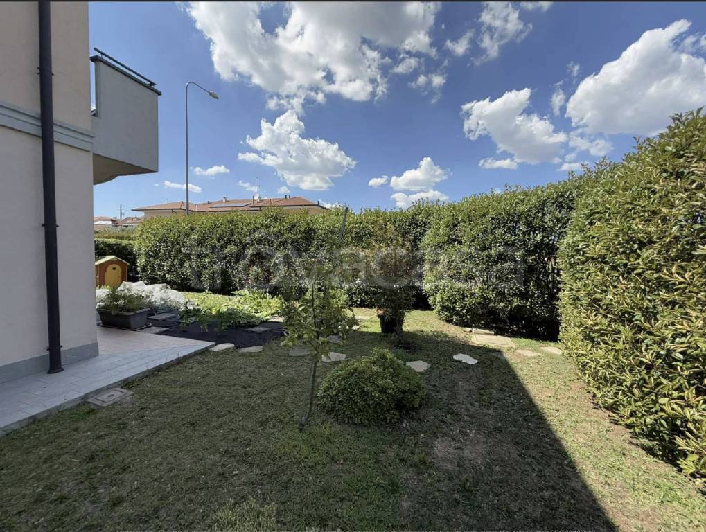 immagine annuncio 9 di 15