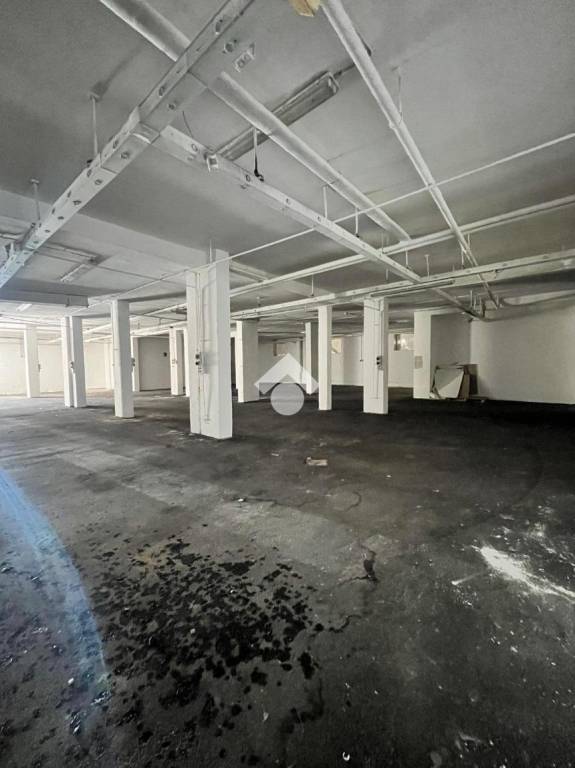 immagine annuncio 12 di 13