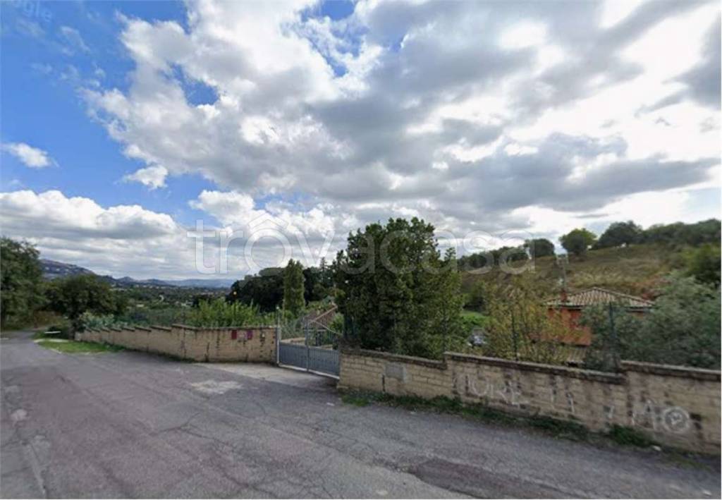 immagine annuncio 5 di 7