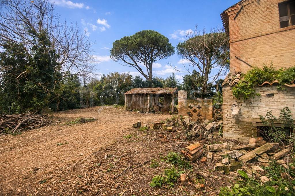 immagine annuncio 6 di 9