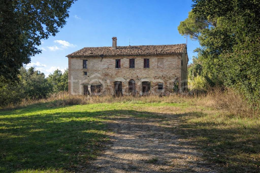 immagine annuncio 3 di 9