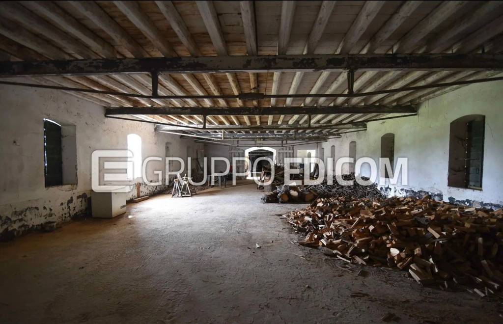 immagine annuncio 6 di 14