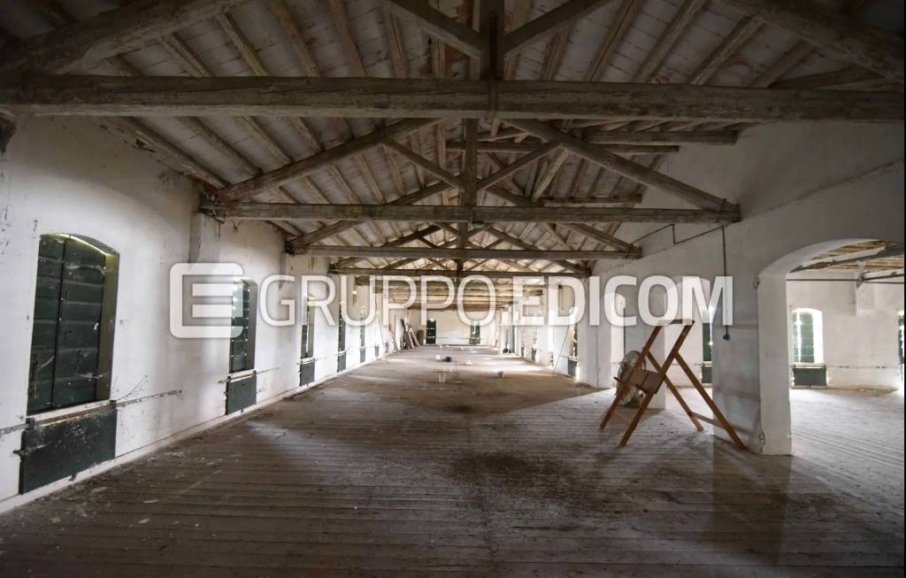 immagine annuncio 7 di 14