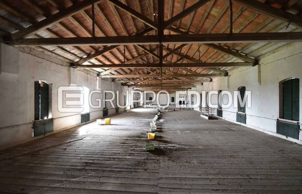 immagine annuncio 8 di 14