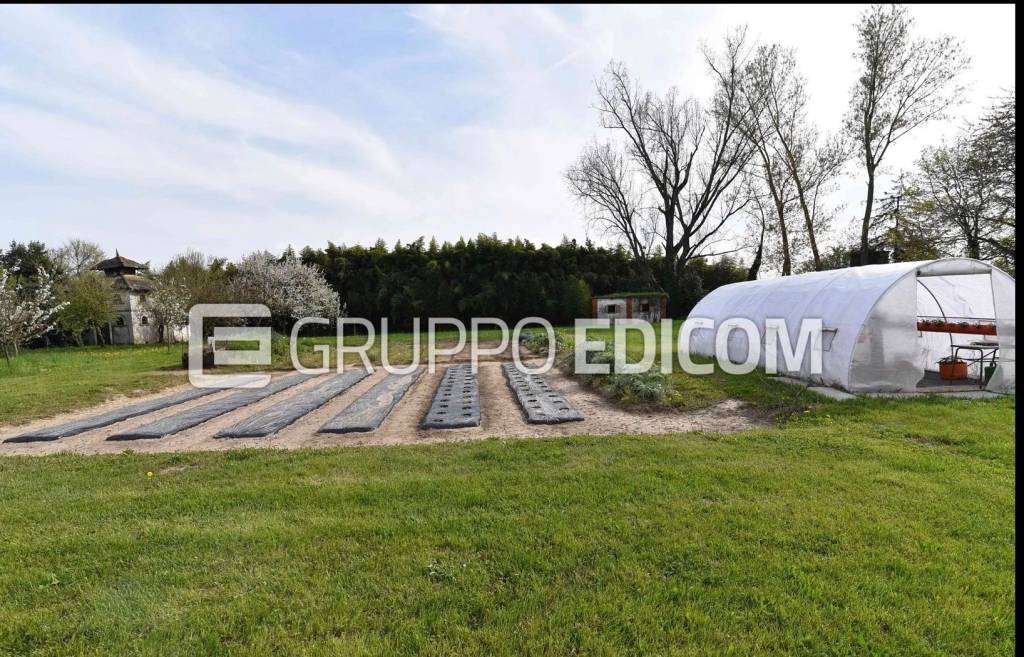 immagine annuncio 9 di 14