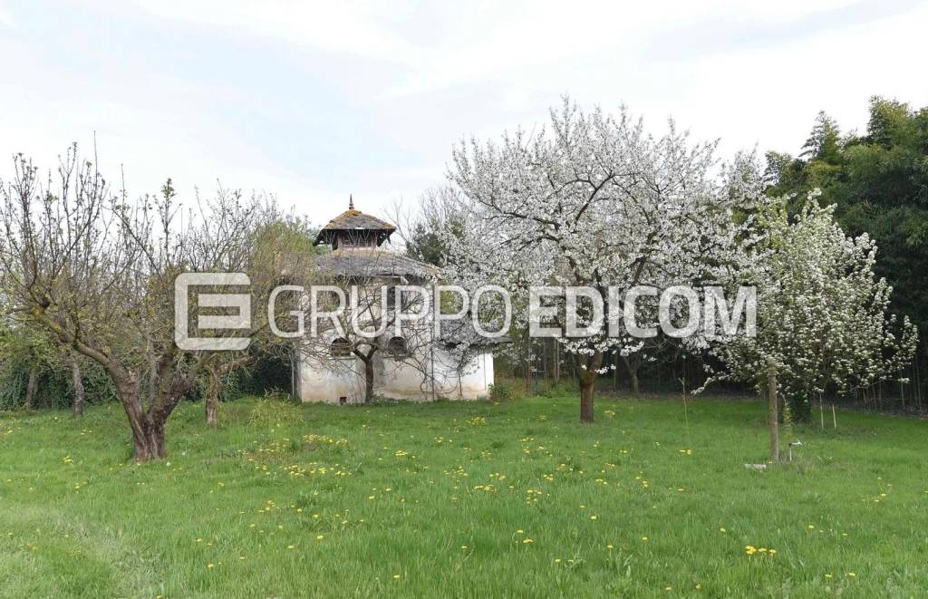 immagine annuncio 10 di 14