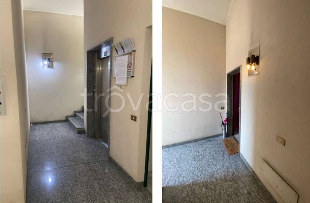 immagine annuncio 4 di 14