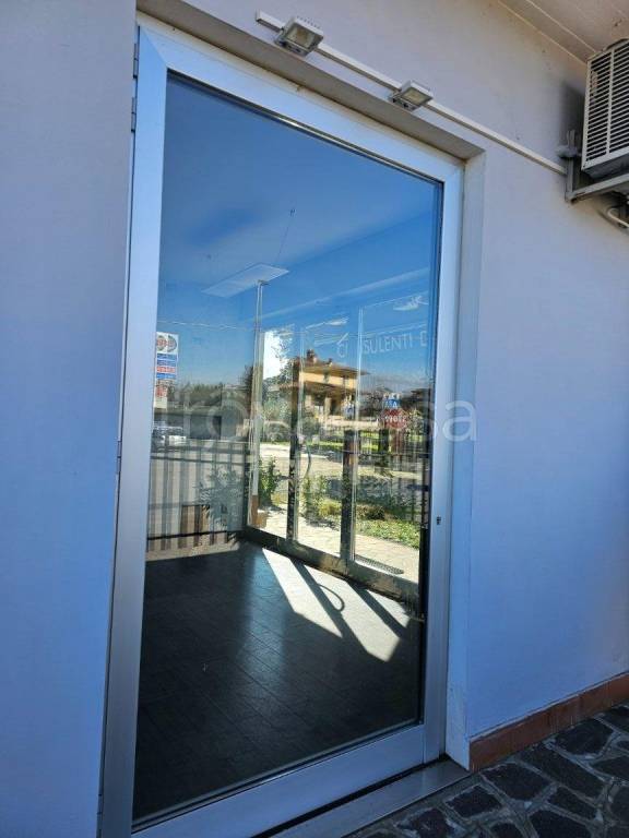 immagine annuncio 13 di 14