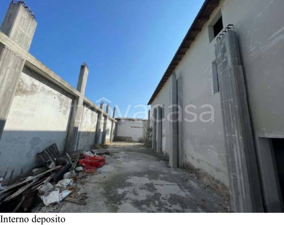 immagine annuncio 6 di 7