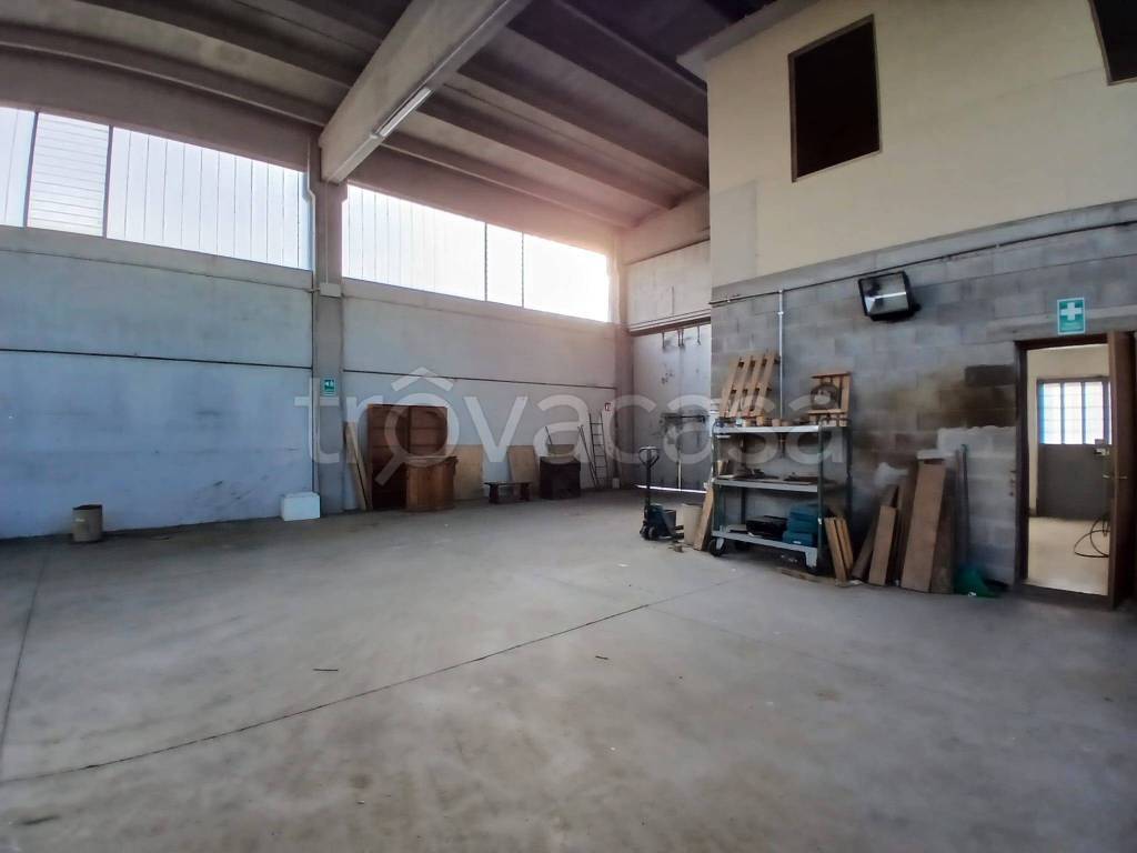 immagine annuncio 2 di 7