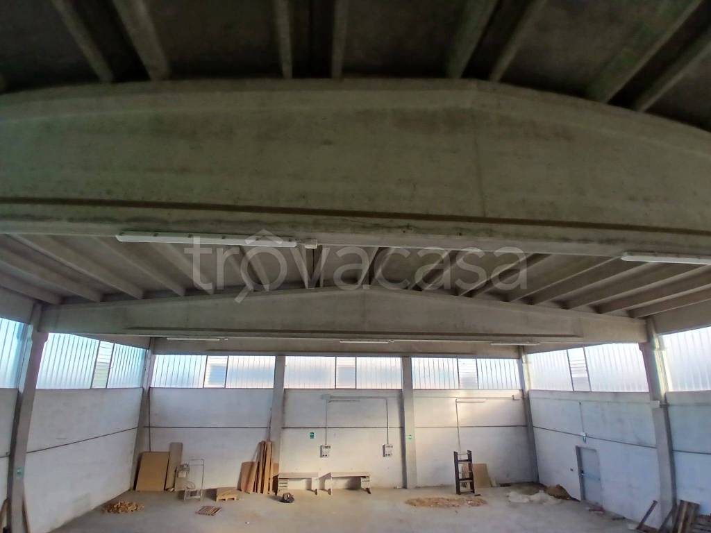 immagine annuncio 5 di 7