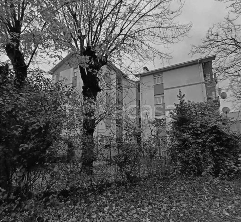 immagine annuncio 2 di 12