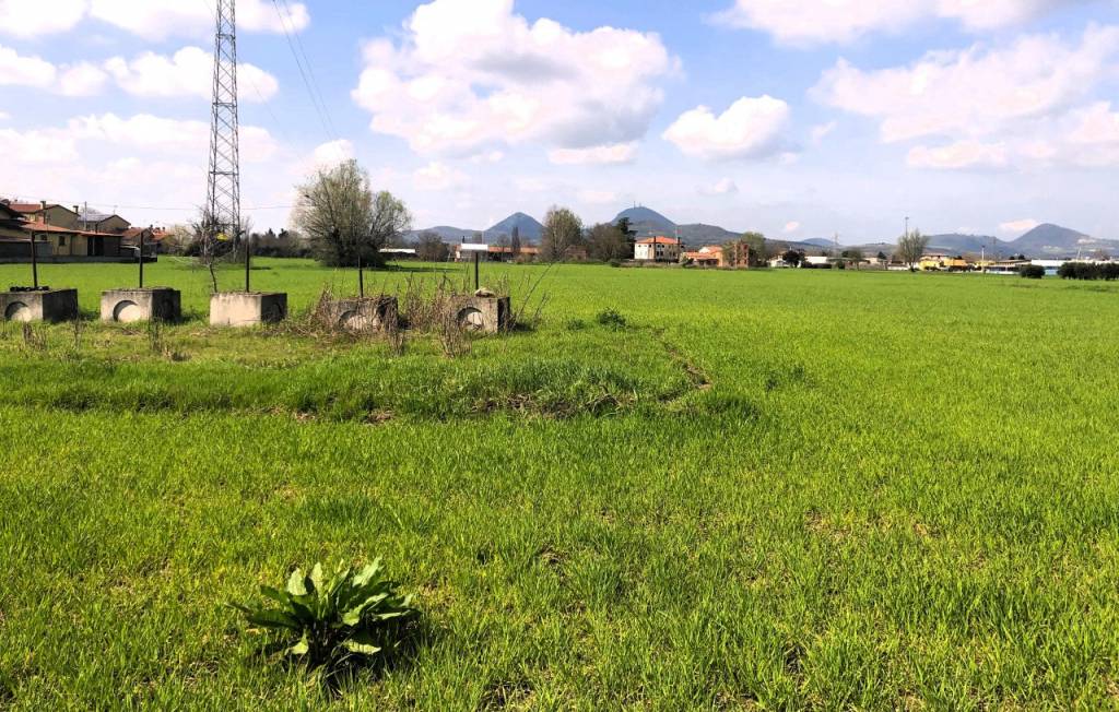 immagine annuncio 3 di 6