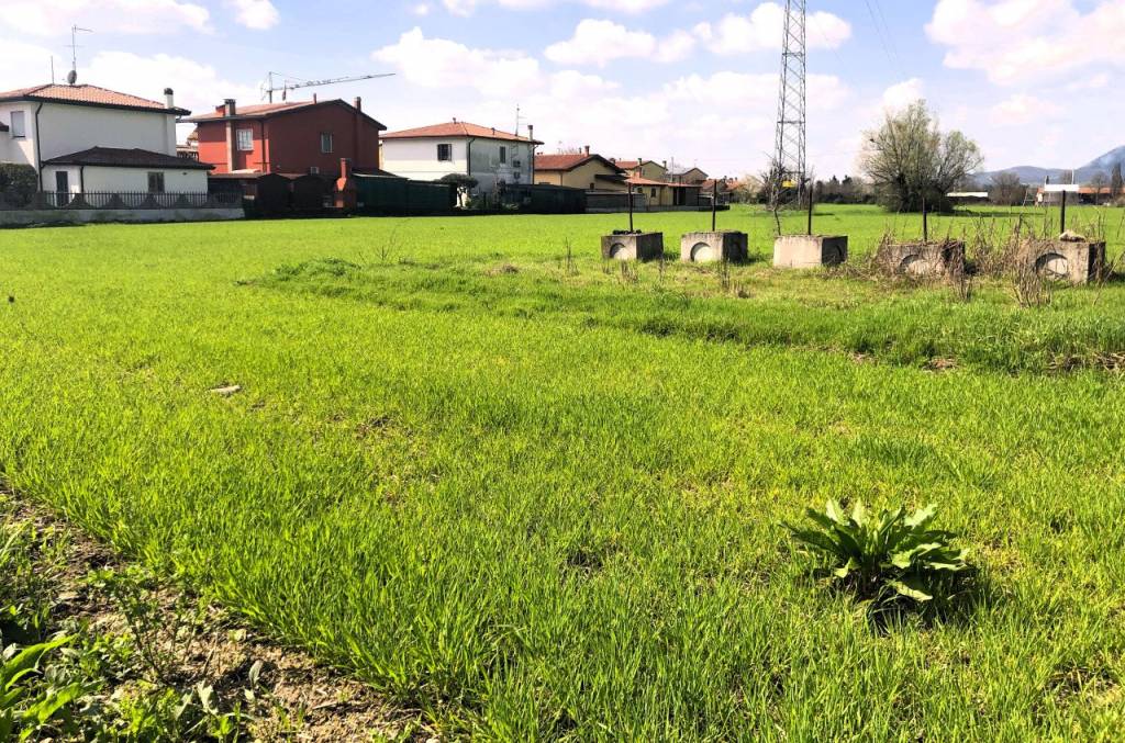 immagine annuncio 4 di 6