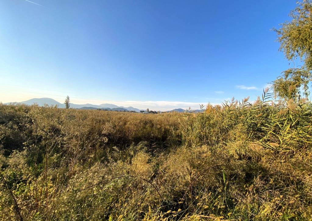 immagine annuncio 2 di 6