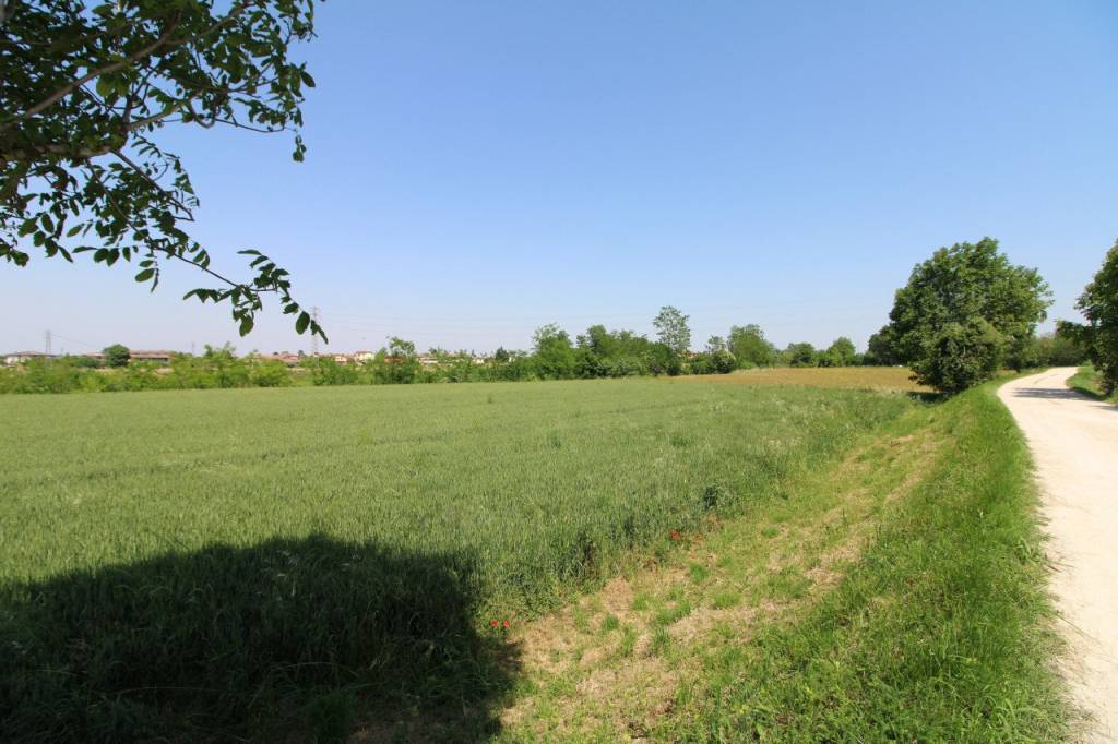 immagine annuncio 3 di 12