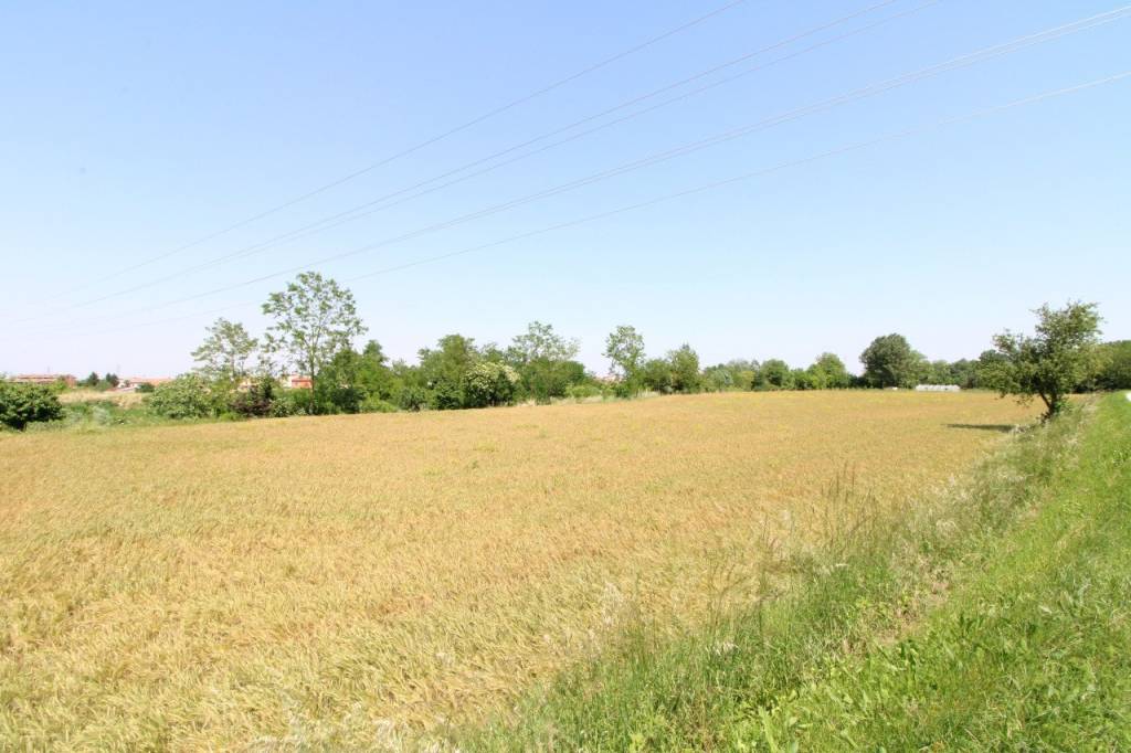 immagine annuncio 4 di 12