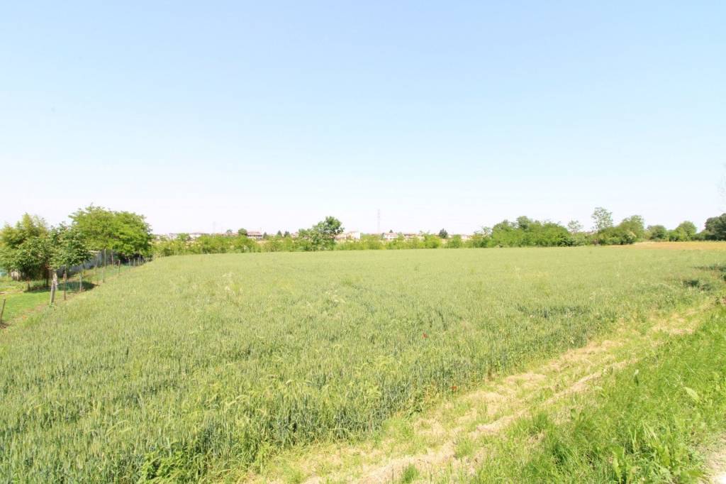 immagine annuncio 9 di 12