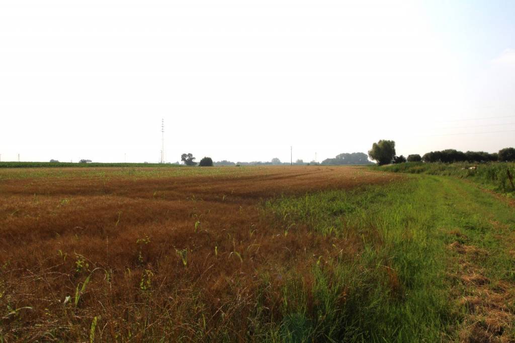 immagine annuncio 1 di 8