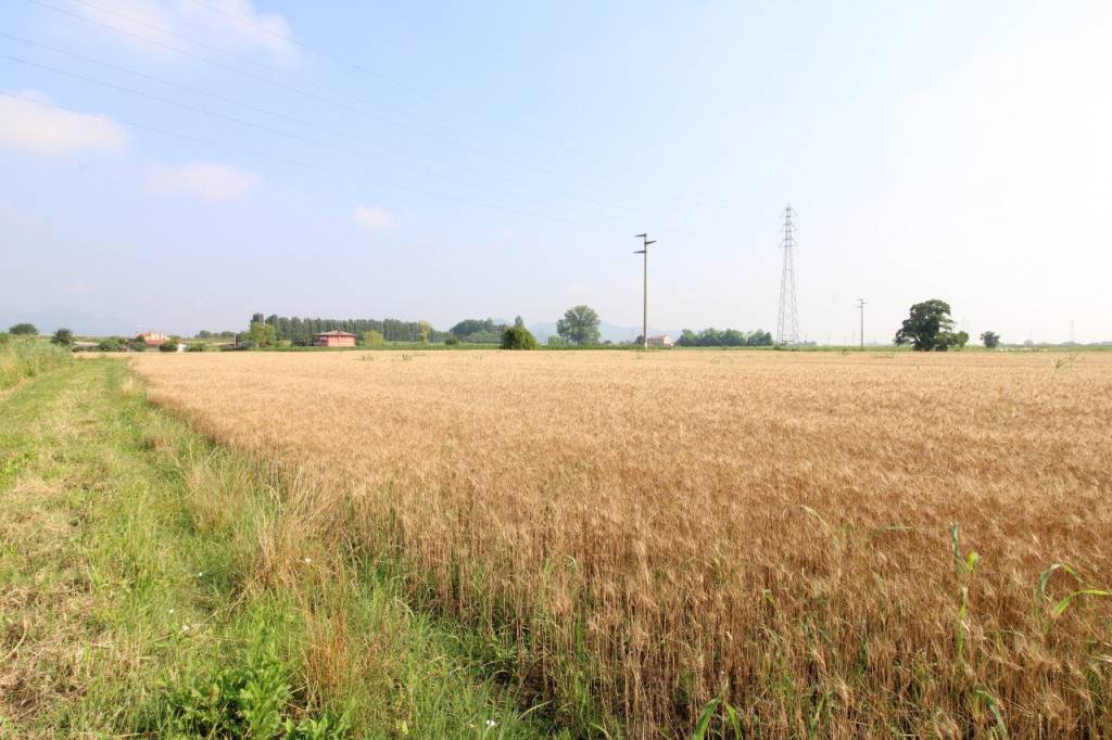 immagine annuncio 3 di 8