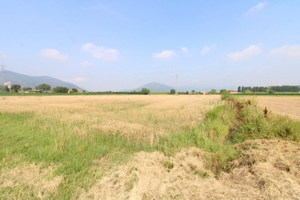 immagine annuncio 7 di 8