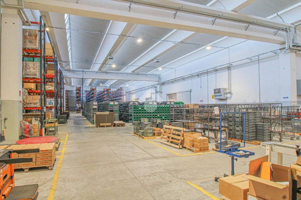 immagine annuncio 5 di 15