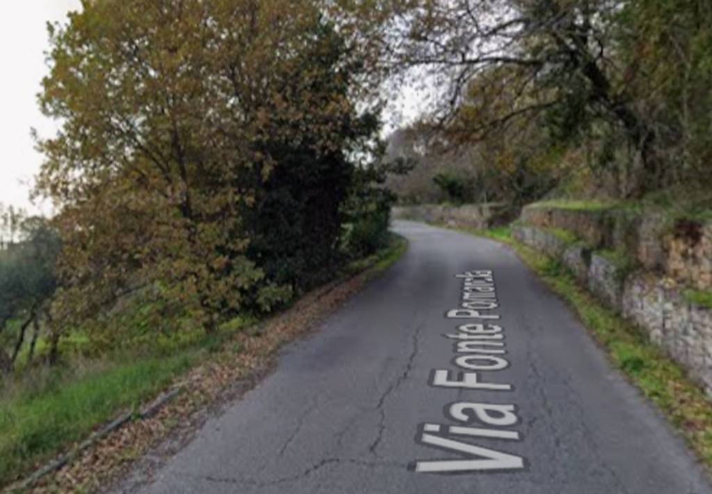 immagine annuncio 11 di 12