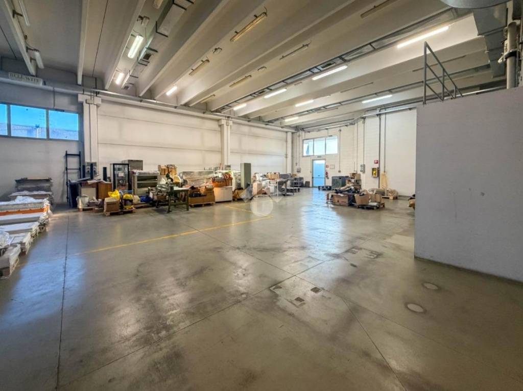 immagine annuncio 5 di 15