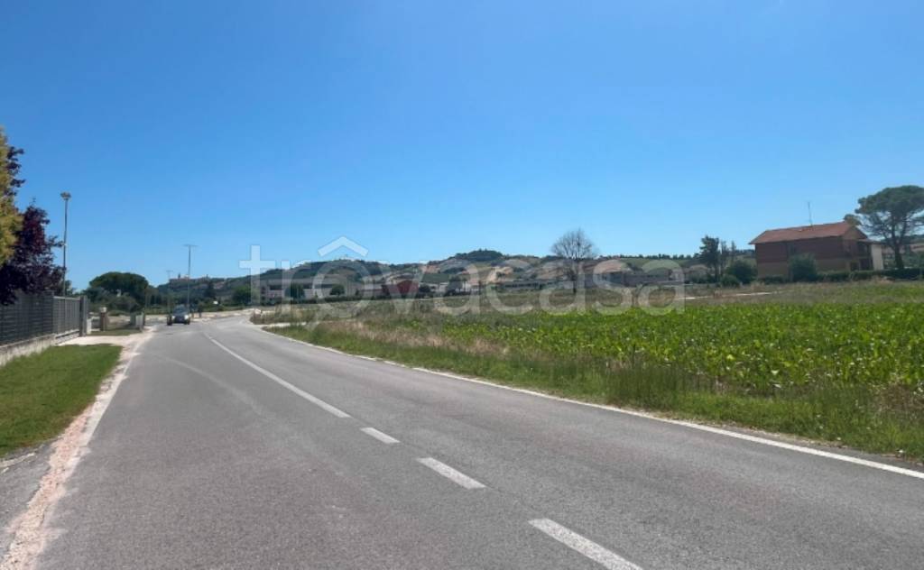 immagine annuncio 4 di 11