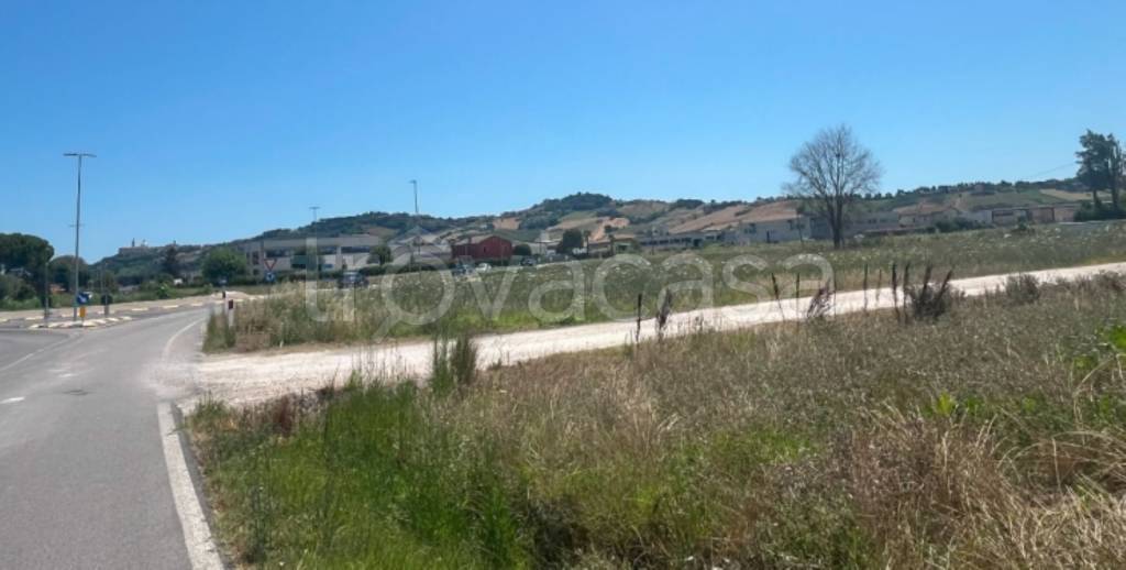 immagine annuncio 5 di 11