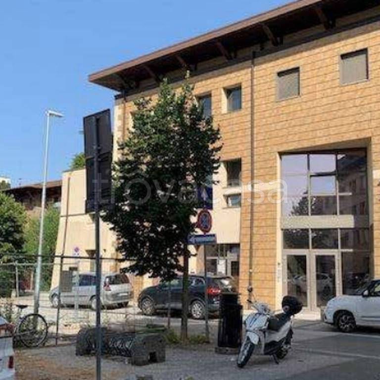 immagine annuncio 3 di 11