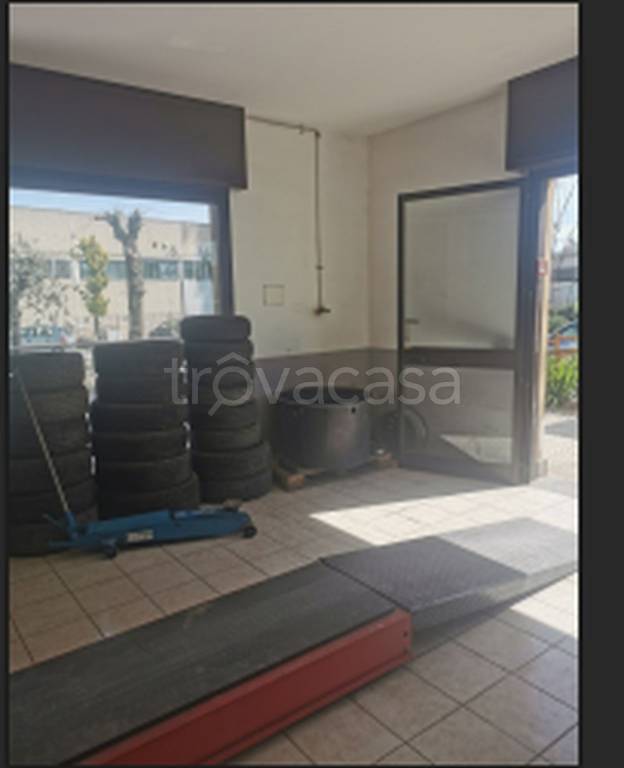 immagine annuncio 3 di 12